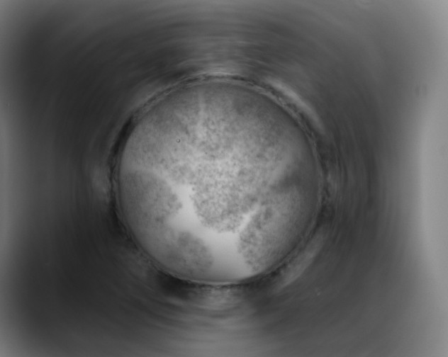 X0000089381266200706151158