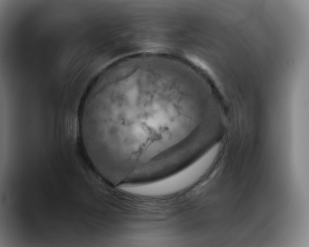 X0000089381267200706151158
