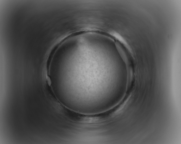 X0000089381269200706151158