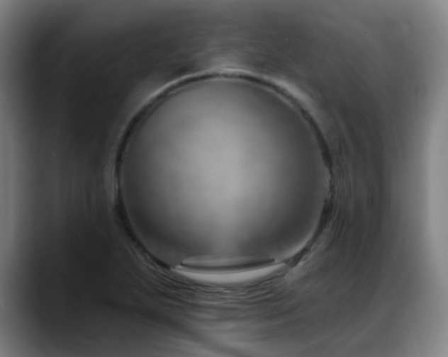 X0000089381271200706151158