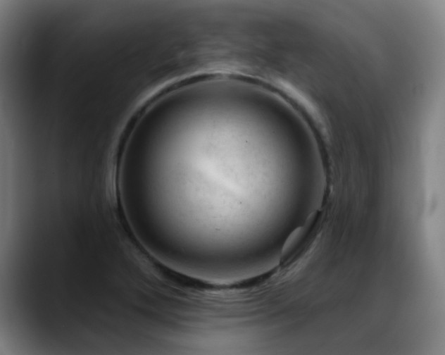 X0000089381272200706151158