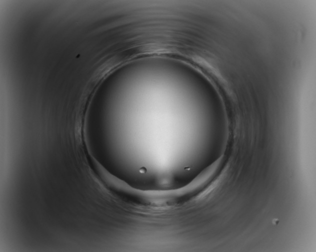 X0000089381273200706151157