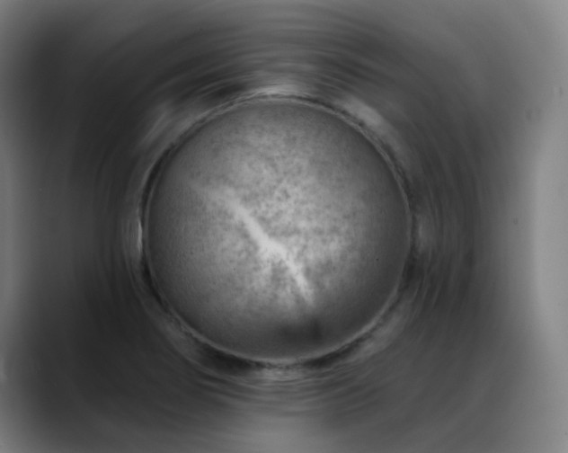 X0000089381274200706151157