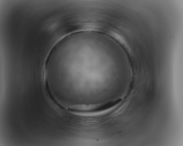 X0000089381275200706151157