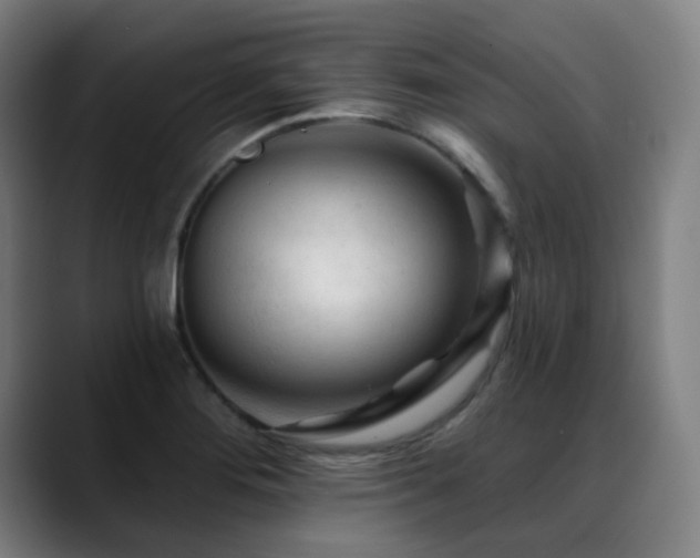 X0000089381276200706151157