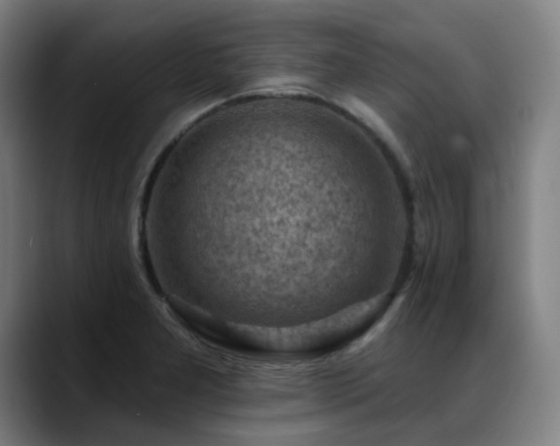 X0000089381277200706151157