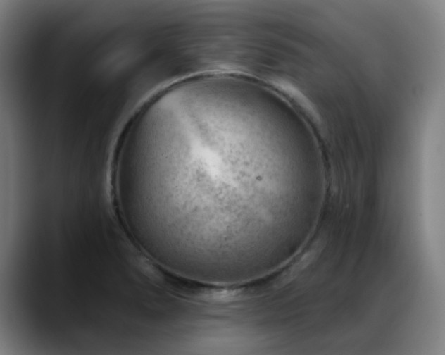 X0000089381278200706151157