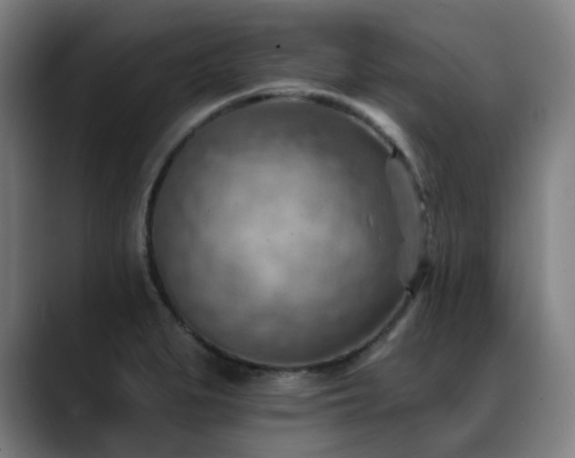 X0000089381279200706151157