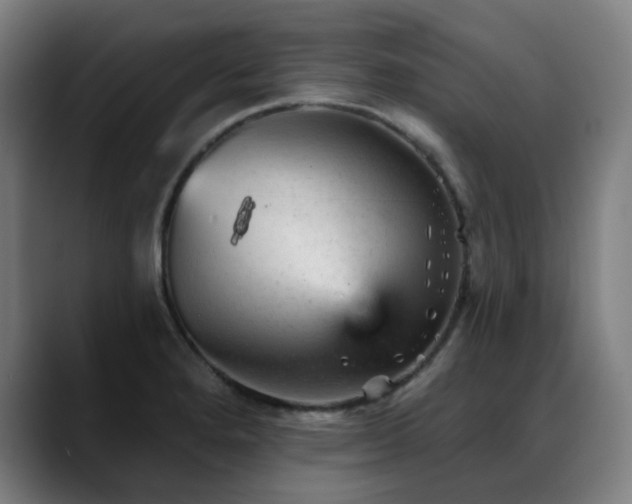 X0000089381280200706151157