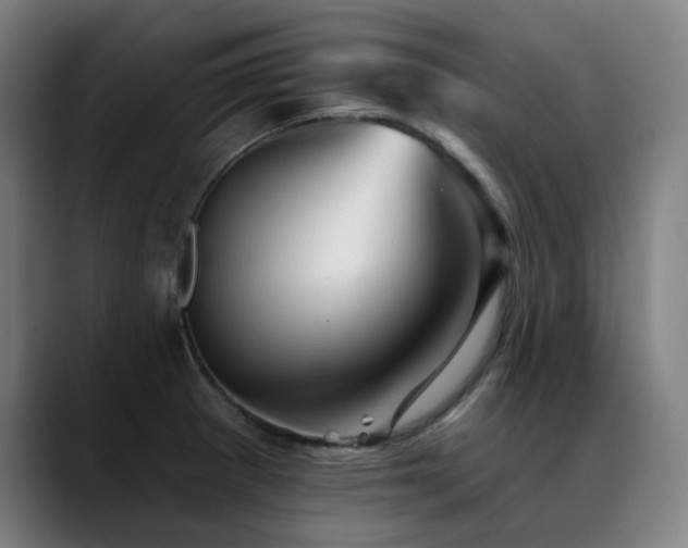 X0000089381281200706151157