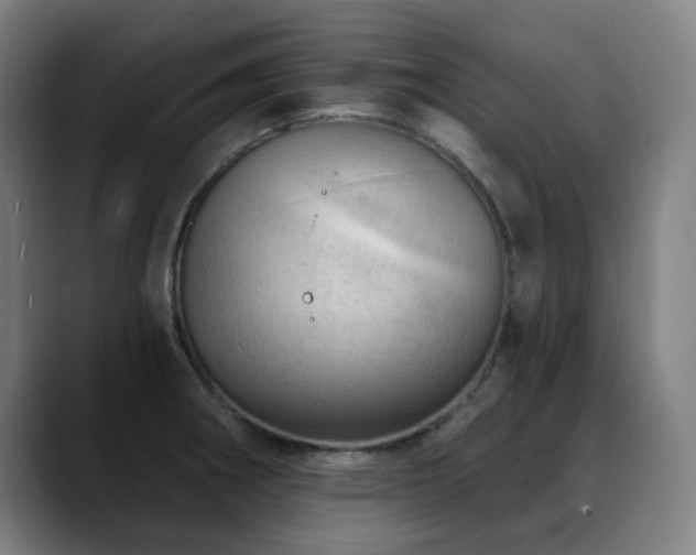 X0000089381282200706151157