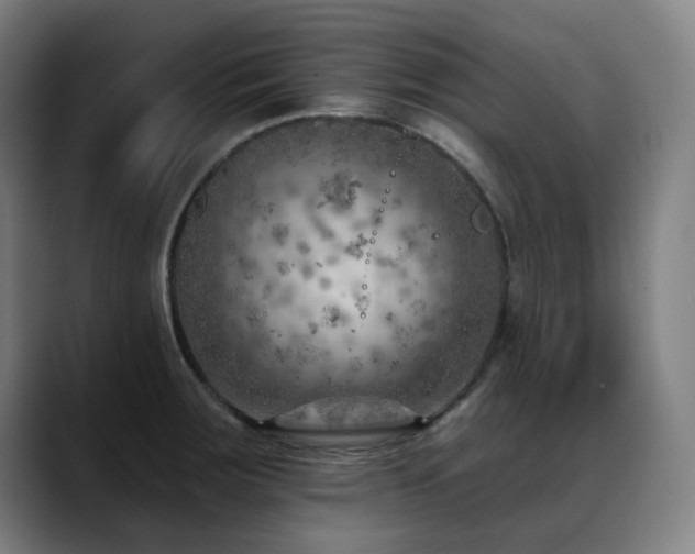 X0000089381283200706151157