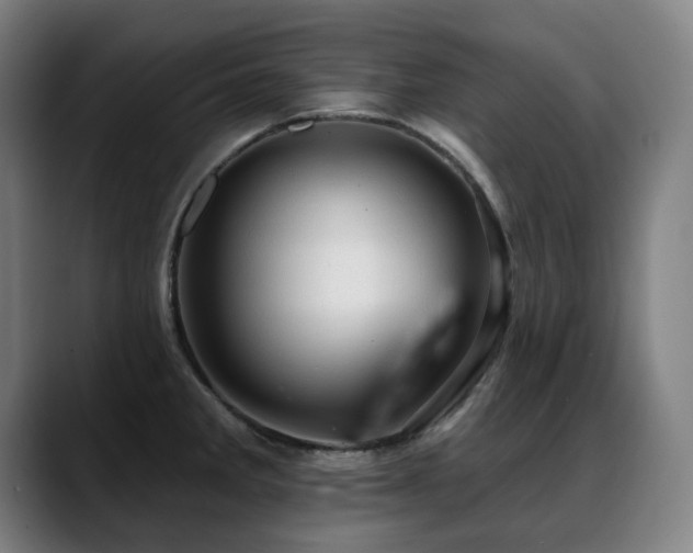 X0000089381285200706151157