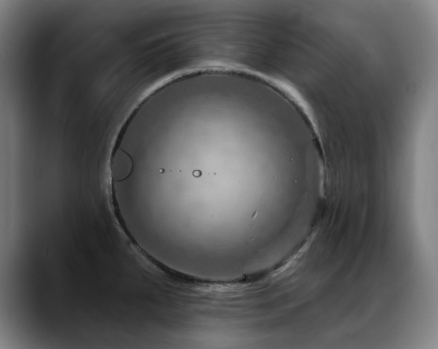 X0000089381287200706151157