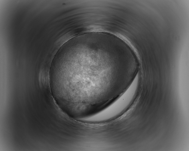 X0000089381289200706151157