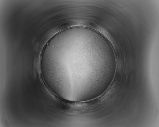 X0000089381290200706151157