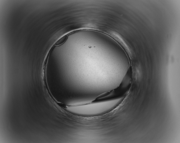 X0000089381292200706151157