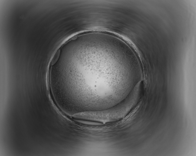 X0000089381295200706151157
