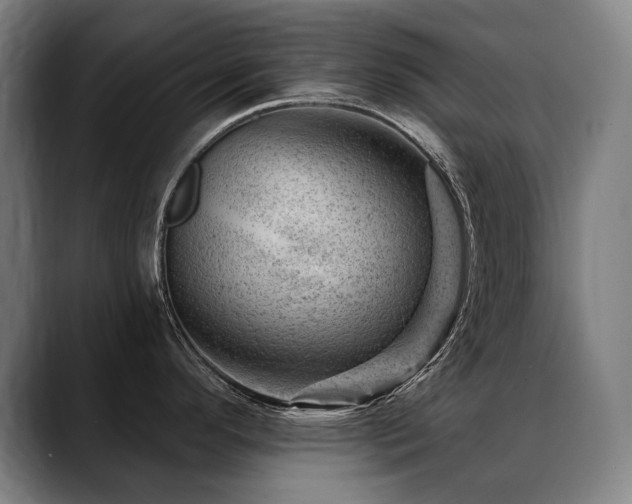 X0000089381296200706151157