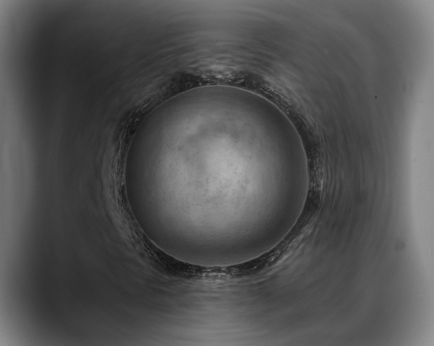 X0000089381297200706151156