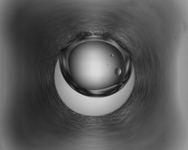 X0000089381298200706151157