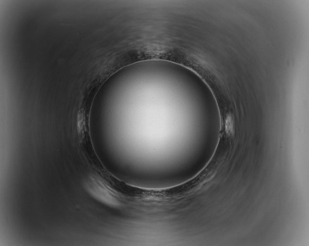 X0000089381299200706151157