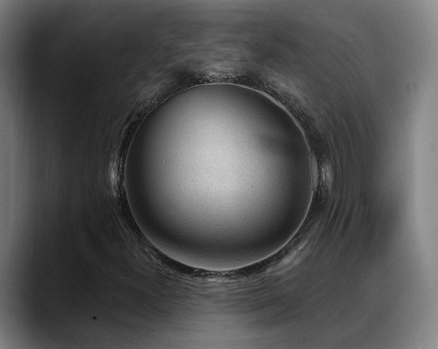 X0000089381300200706151157