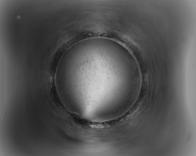 X0000089381302200706151157