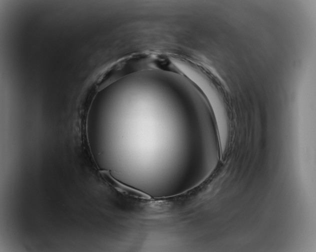 X0000089381304200706151157