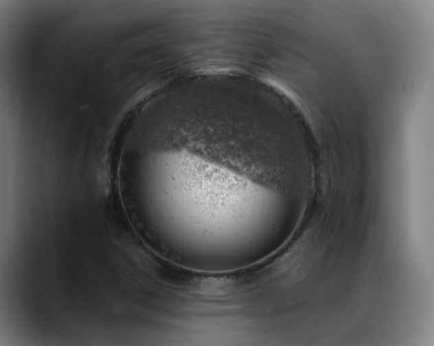 X0000089381306200706151157