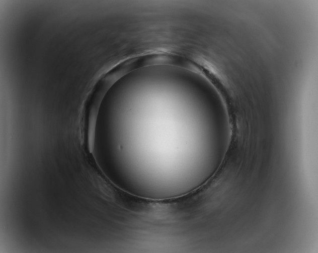 X0000089381308200706151157