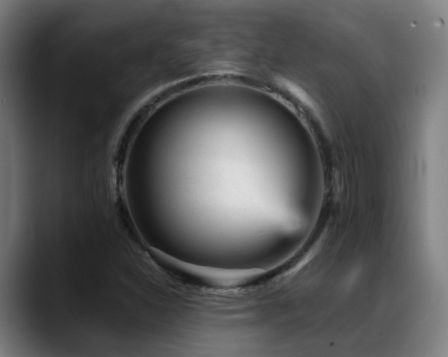 X0000089381310200706151157
