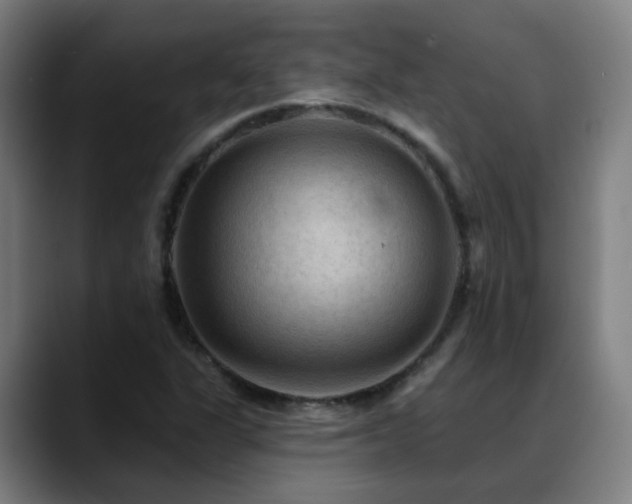 X0000089381311200706151157