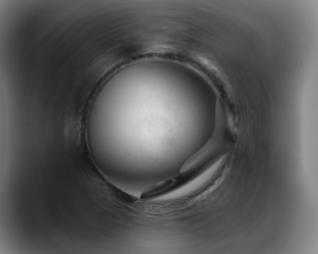 X0000089381313200706151157