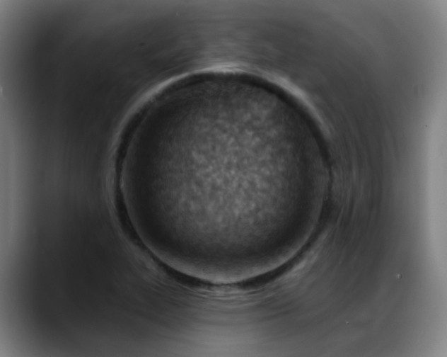 X0000089381319200706151157