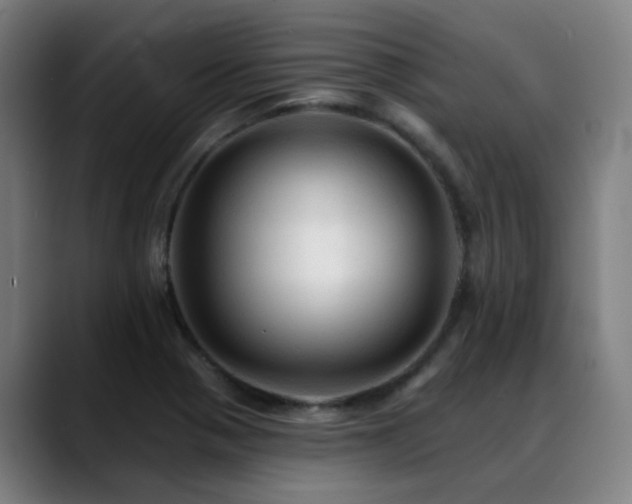 X0000089381321200706151157