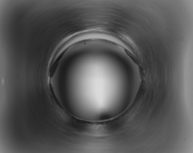 X0000089381324200706151157
