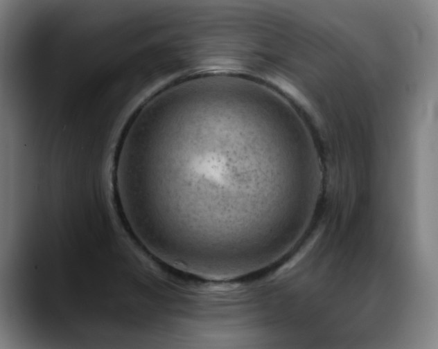 X0000089381325200706151157