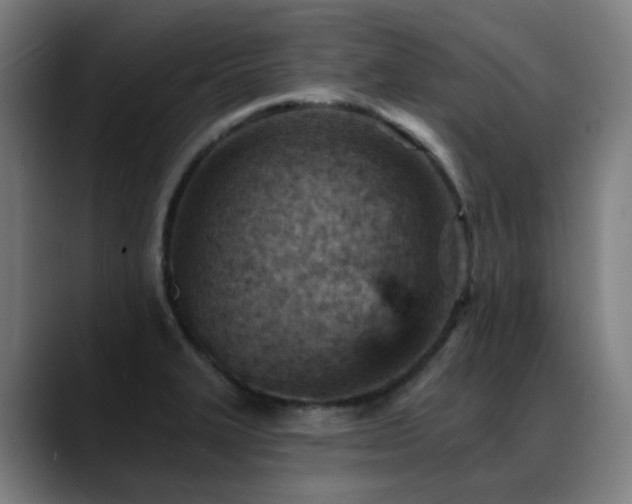 X0000089381327200706151157
