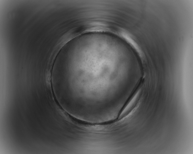 X0000089381329200706151157