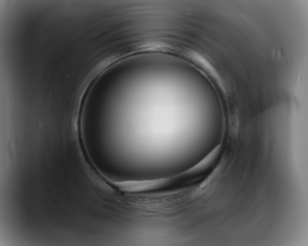 X0000089381330200706151157