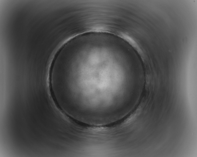 X0000089381331200706151157