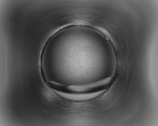 X0000089381335200706151157