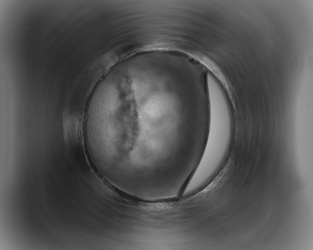 X0000089381337200706151157