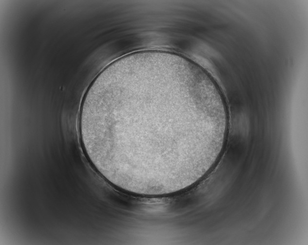 X0000089381338200706151157