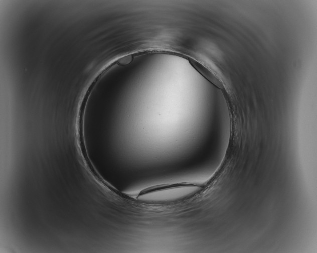 X0000089381339200706151157