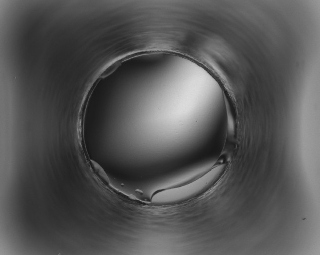 X0000089381340200706151157