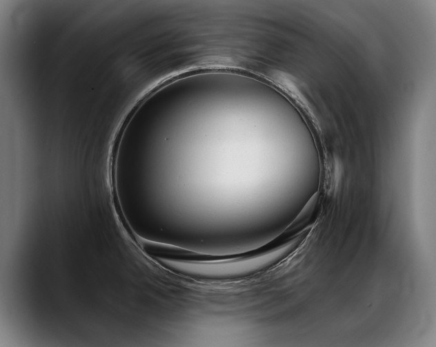 X0000089381342200706151157