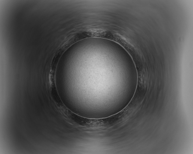 X0000089381346200706151156