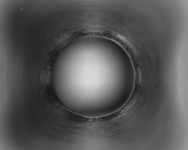 X0000089381350200706151156